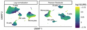 How to Normalize Single Cell Data